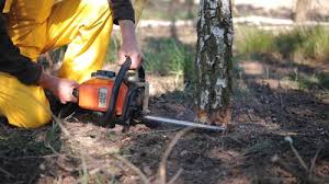 Best Lot and Land Clearing  in Kimberly, ID