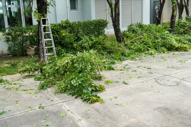 Best Leaf Removal  in Kimberly, ID