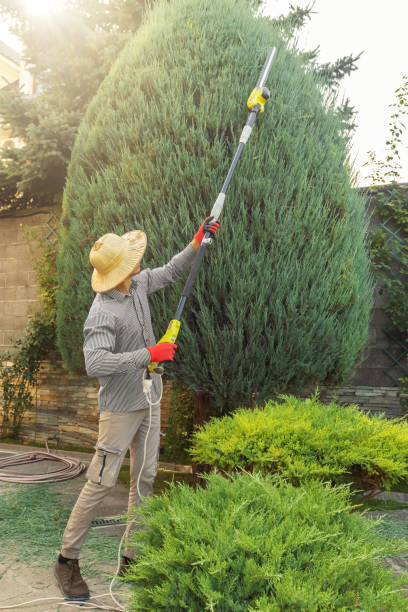 Best Lawn Irrigation Installation and Maintenance  in Kimberly, ID